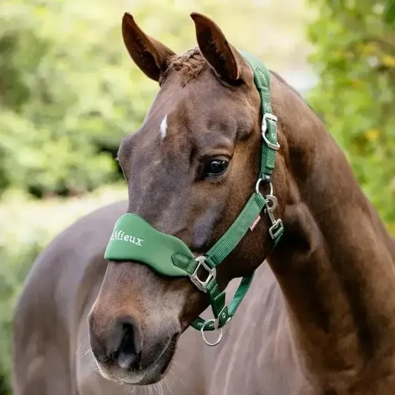 LeMieux Vogue Breakaway Halter - Hunter Green-1
