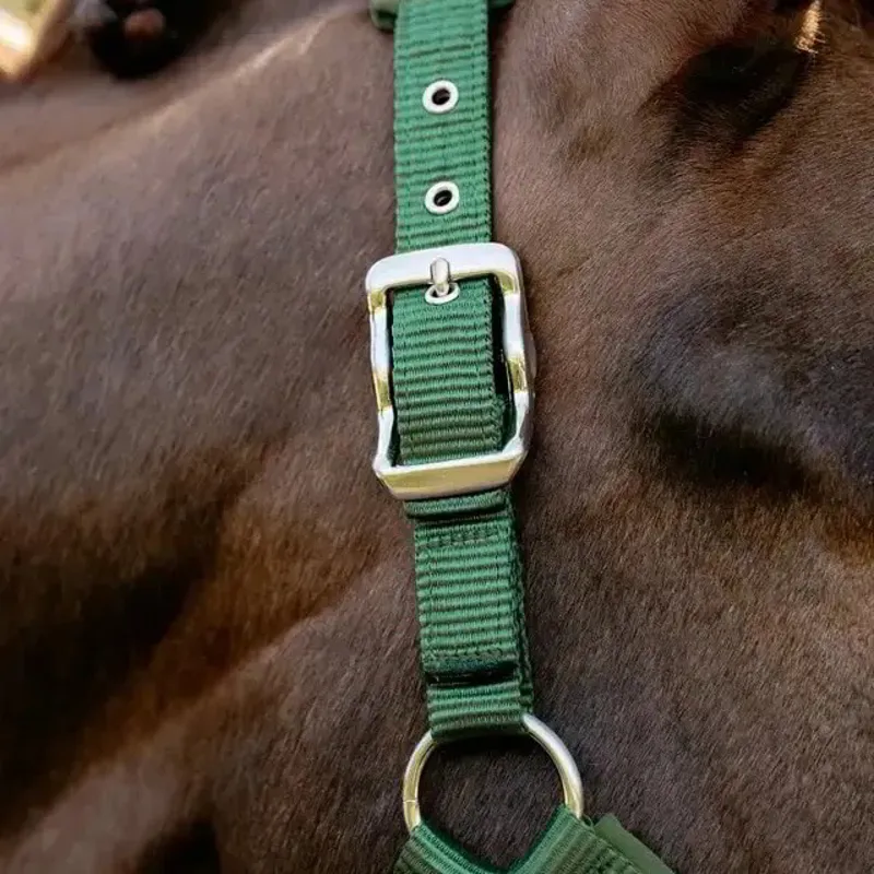 LeMieux Vogue Breakaway Halter - Hunter Green-3