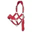 LeMieux Vogue Breakaway Halter - Chilli