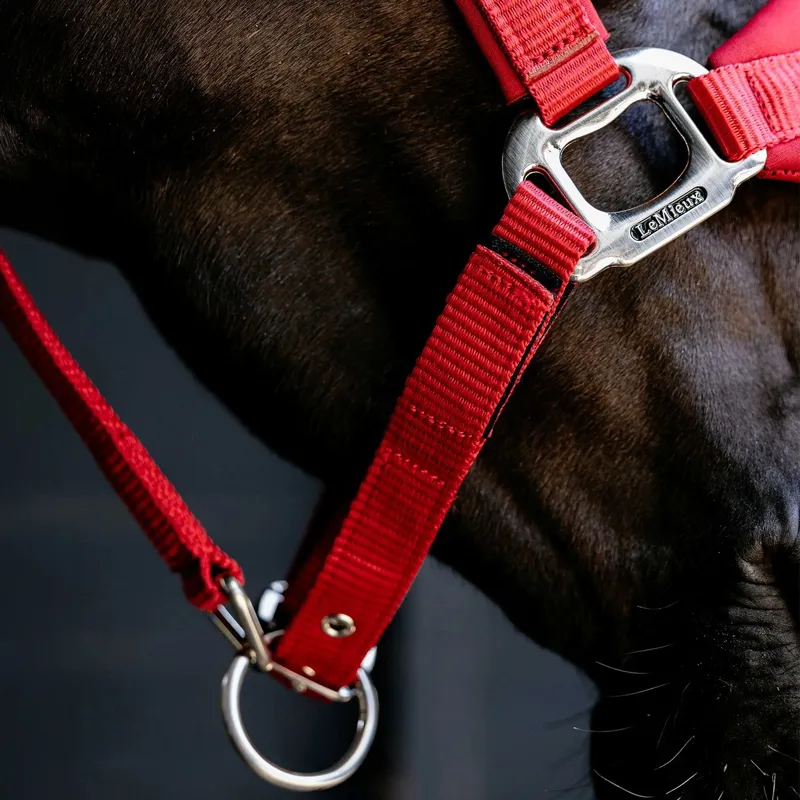 LeMieux Vogue Breakaway Halter - Chilli-3