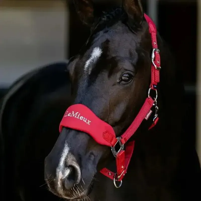 LeMieux Vogue Breakaway Halter - Chilli-1