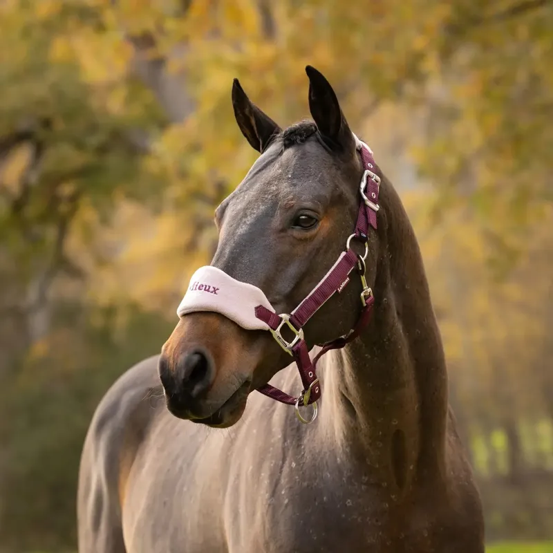 LeMieux Vogue Halter and Lead Rope Set - Blackberry-1