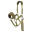 LeMieux Vogue Halter and Lead Rope Set - Gooseberry
