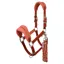 LeMieux Vogue Halter and Lead Rope Set - Russet