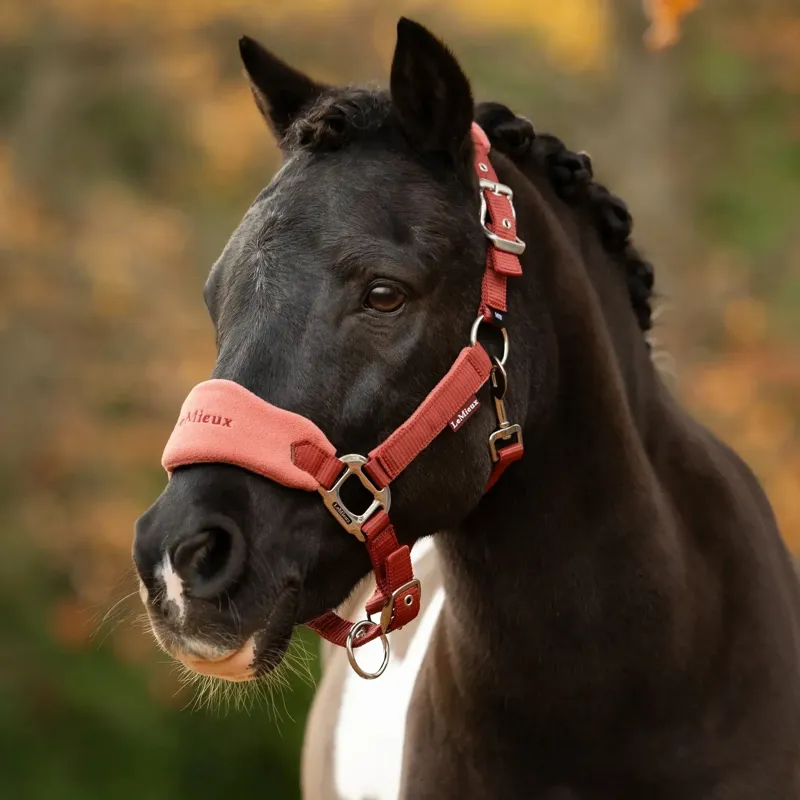 LeMieux Vogue Halter and Lead Rope Set - Russet-2