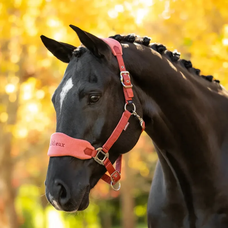 LeMieux Vogue Halter and Lead Rope Set - Russet-1