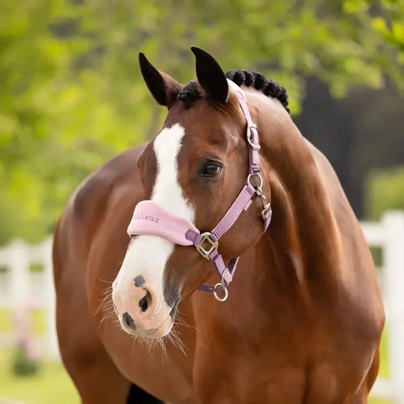 LeMieux Vogue Halter and Lead Rope Set - Mallow-1