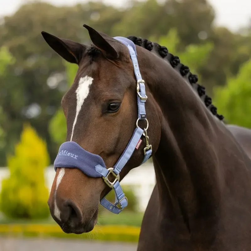 LeMieux Vogue Halter and Lead Set - Powder Blue-1
