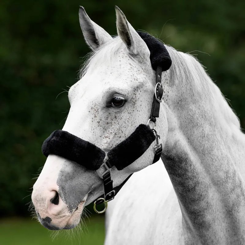 LeMieux Comfort Fleece Halter - Black/Grey-2