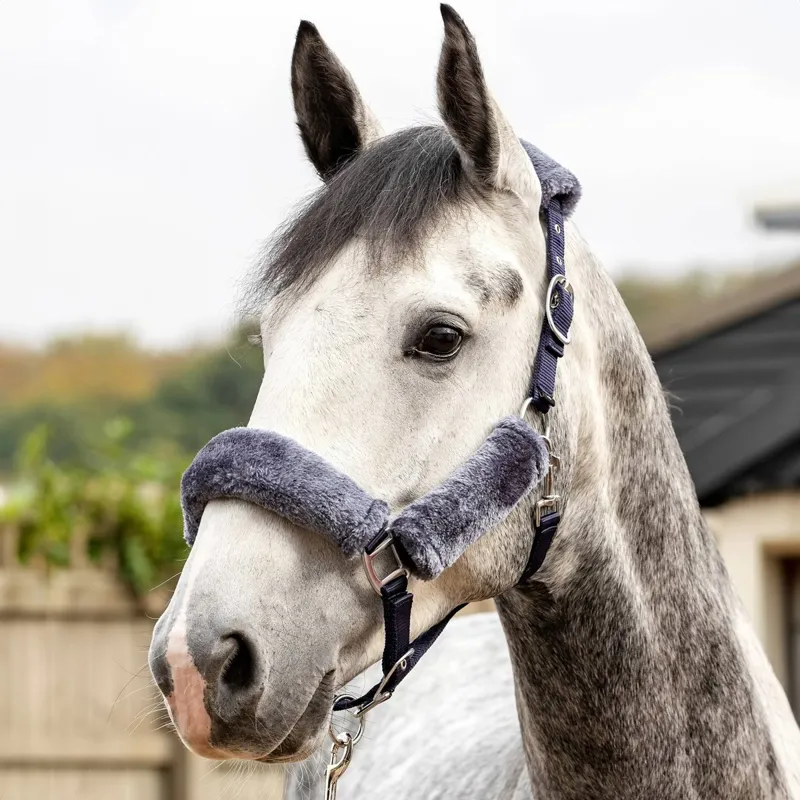 LeMieux Comfort Fleece Halter - Navy/Grey-2