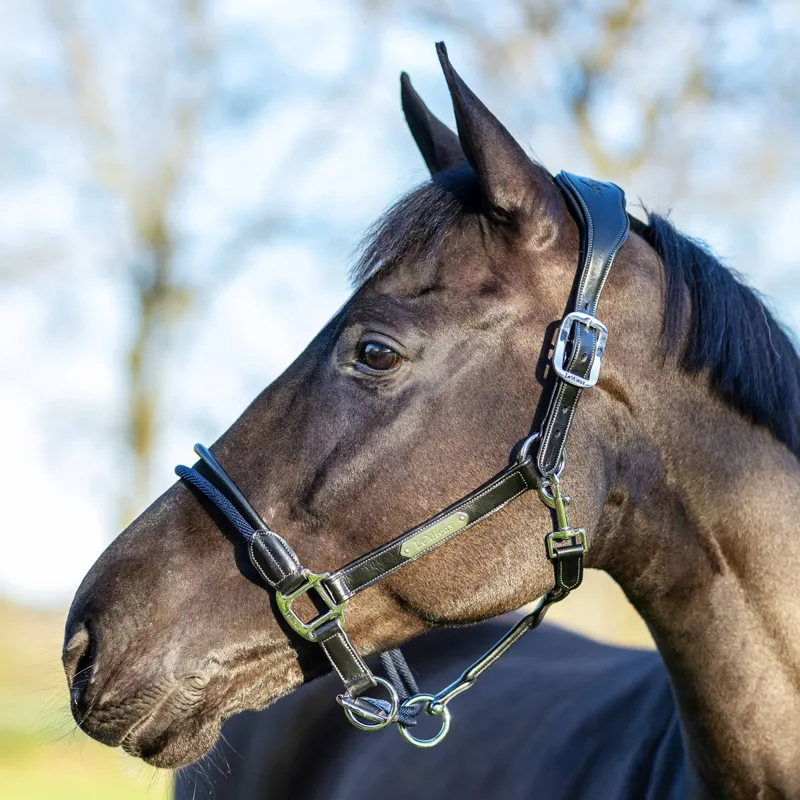 LeMieux Rope Control Halter - Black-1