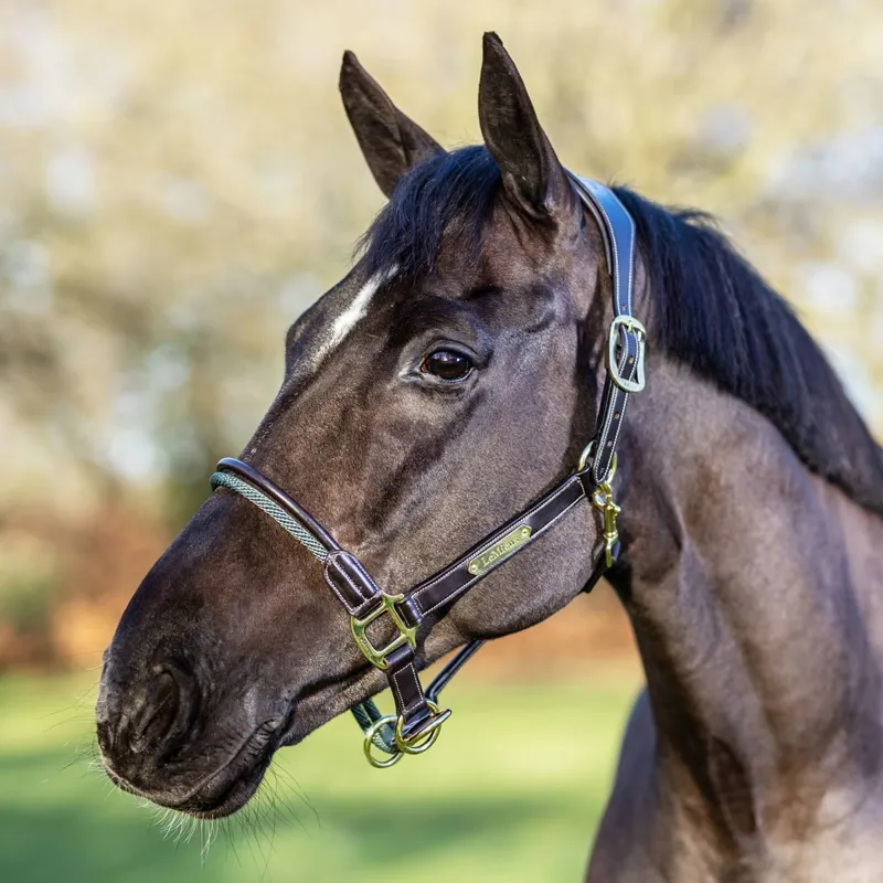 LeMieux Rope Control Halter - Brown-1