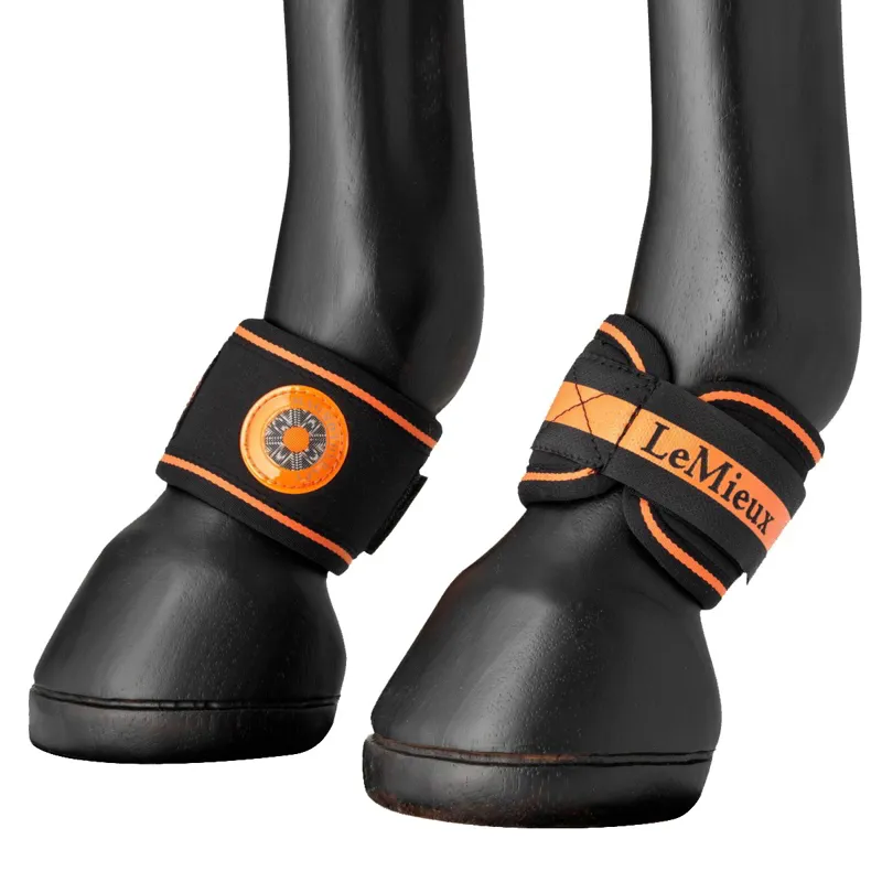 LeMieux Magno Pastern Wraps - Black