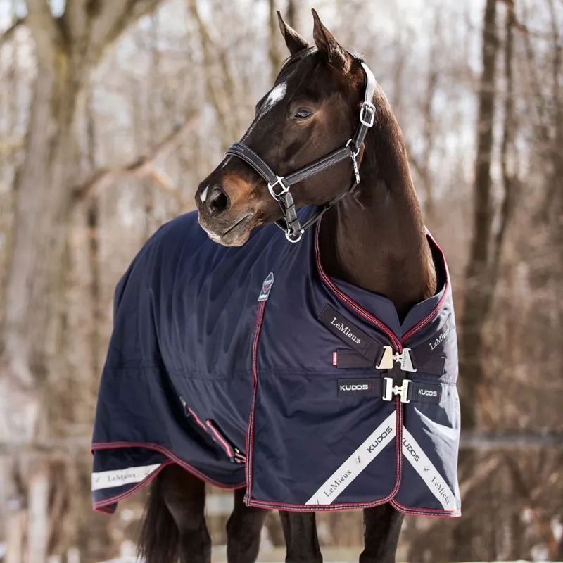 LeMieux Kudos 350g Detachable Neck Turnout Blanket - Navy-1