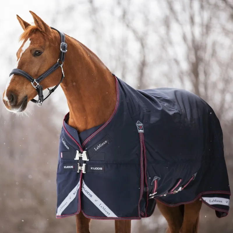 LeMieux Kudos 350g Detachable Neck Turnout Blanket - Navy-5