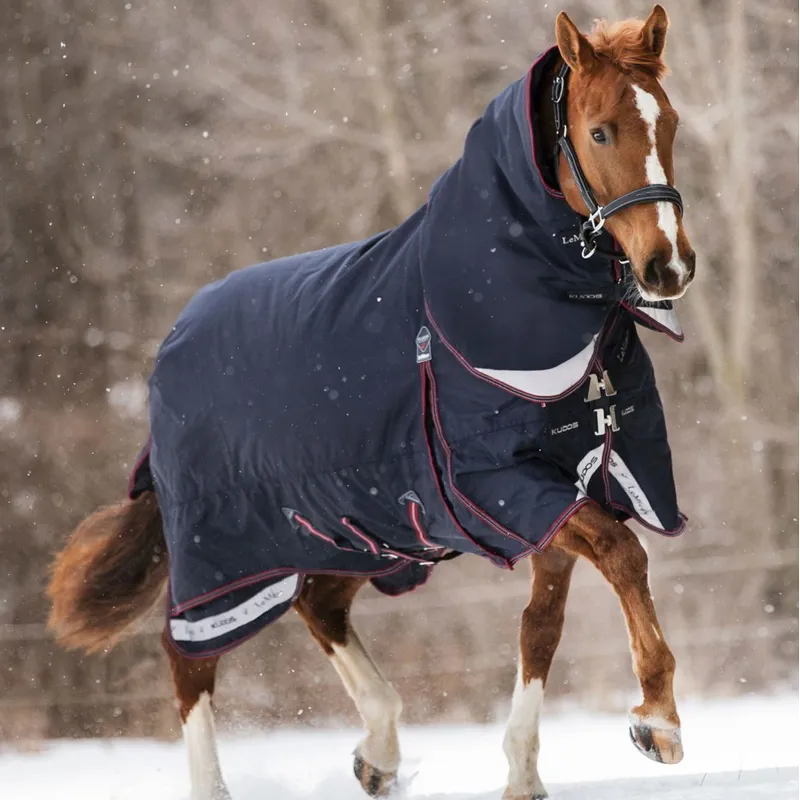 LeMieux Kudos 350g Detachable Neck Turnout Blanket - Navy