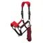 LeMieux Vogue Halter and Lead Rope Set - Chilli/Black