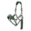 LeMieux Vogue Halter and Lead Rope Set - Hunter Green/Grey