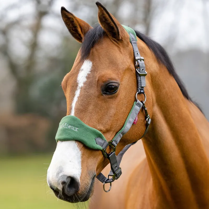 LeMieux Vogue Halter and Lead Rope Set - Hunter Green/Grey-2
