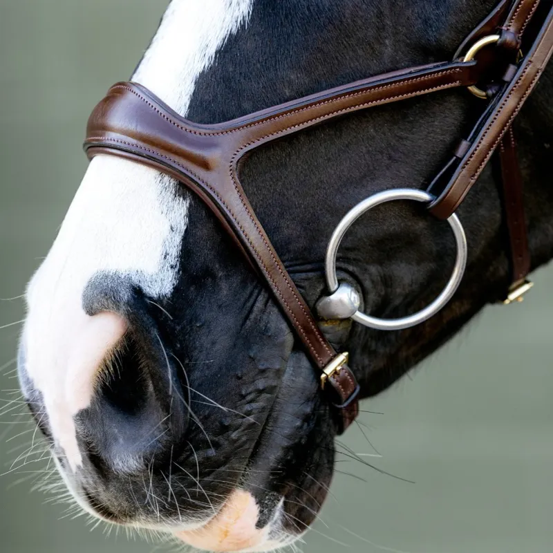LeMieux Kudos Sport Bridle - Brown-3