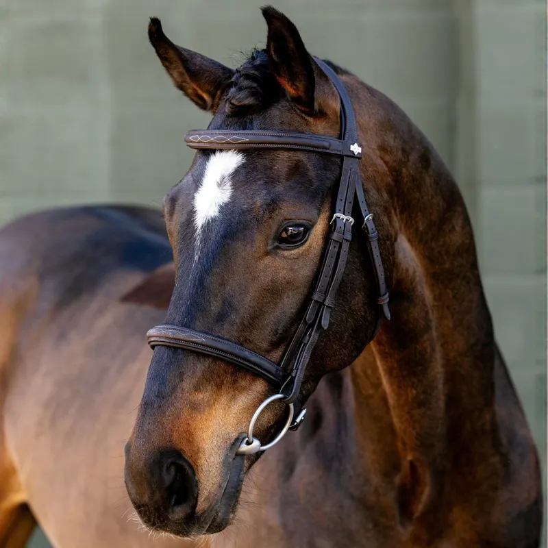 LeMieux Classique Cavesson Bridle - Brown/Silver