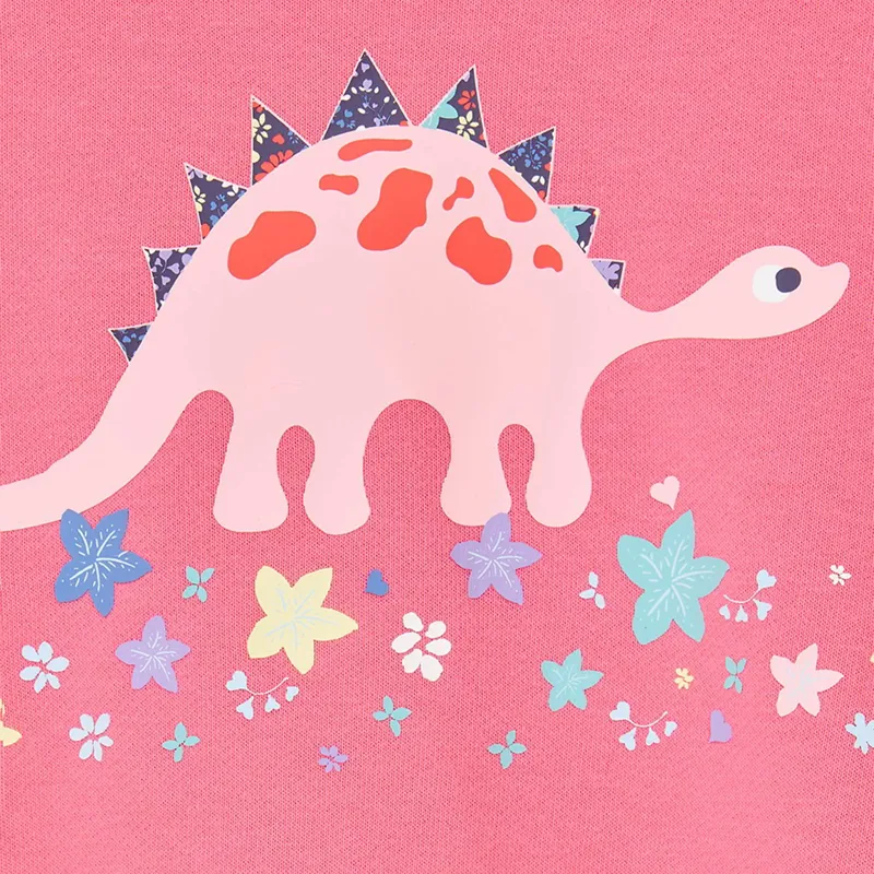 Lighthouse Flora Junior Girls Sweater - Steggie Print-6
