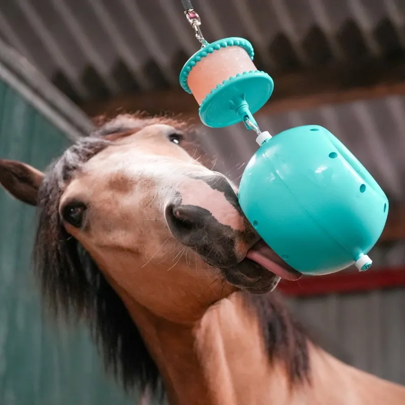 Likit Boredom Breaker Stable Toy - Aqua-1