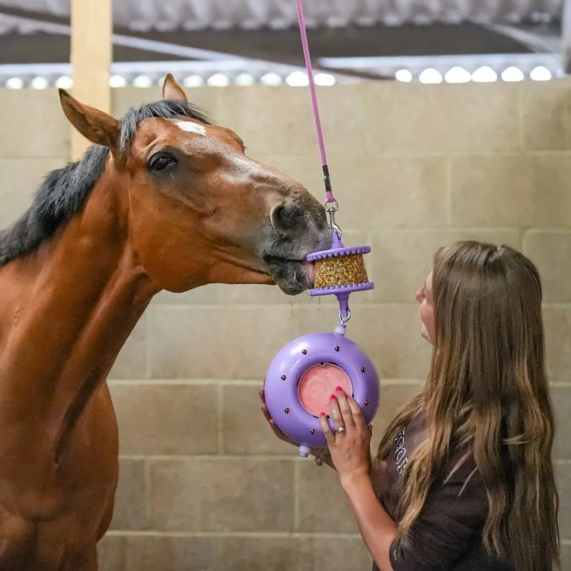 Likit Boredom Breaker Stable Toy - Purple-1