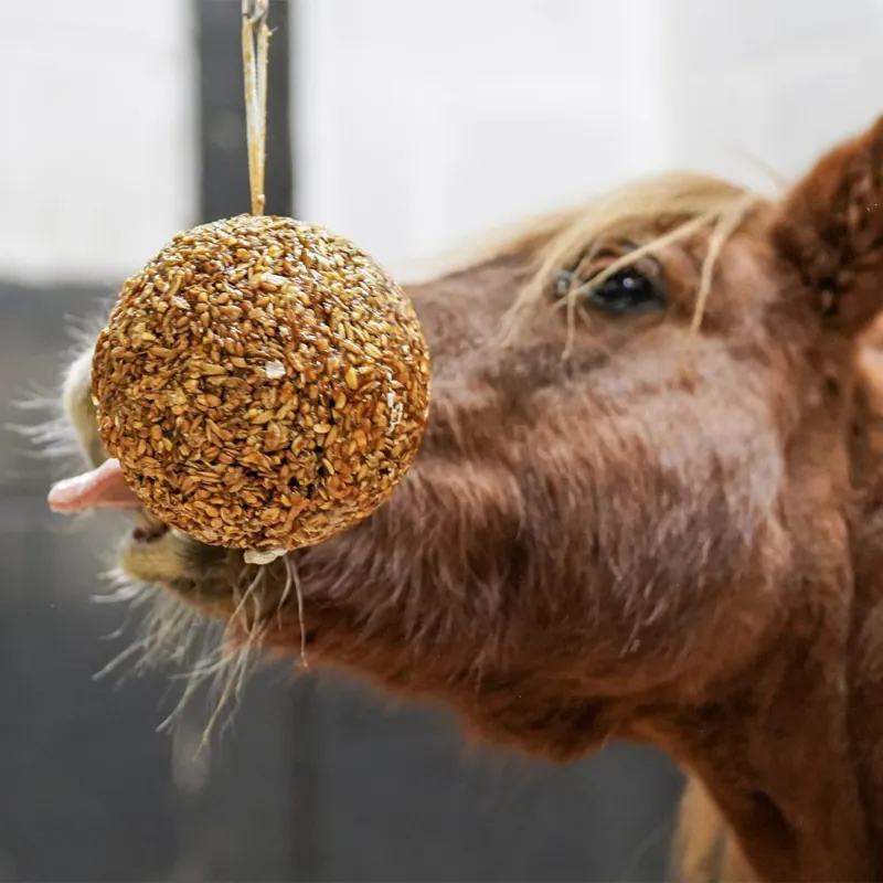 Likit Granola Stall Ball - Apple-1