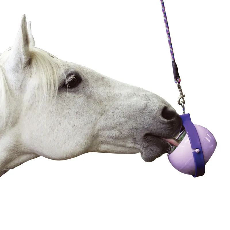 Likit Boredom Buster - Purple/Lilac-1