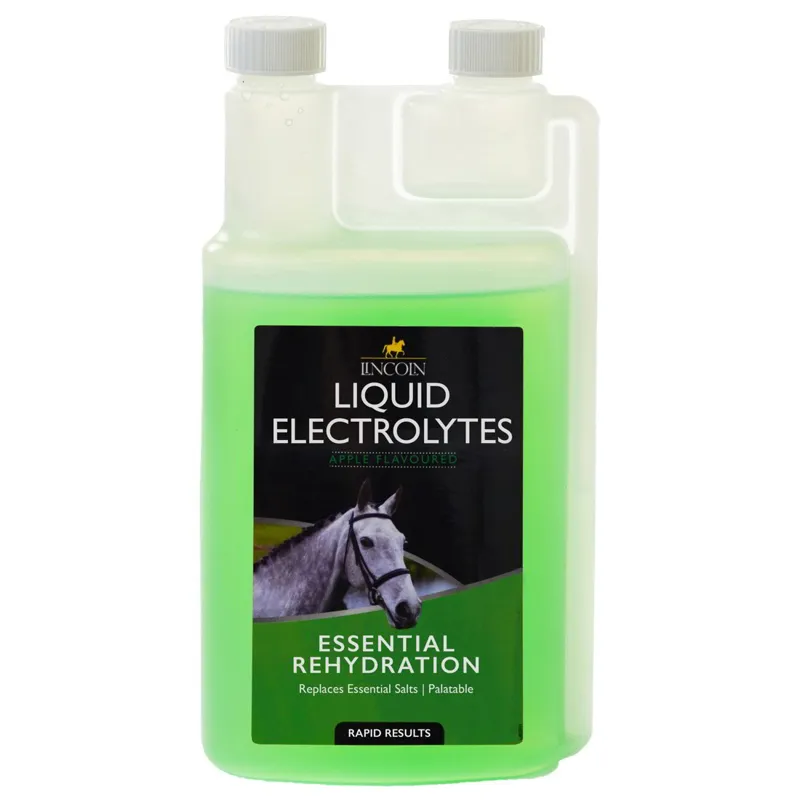 Lincoln Liquid Electrolytes-1