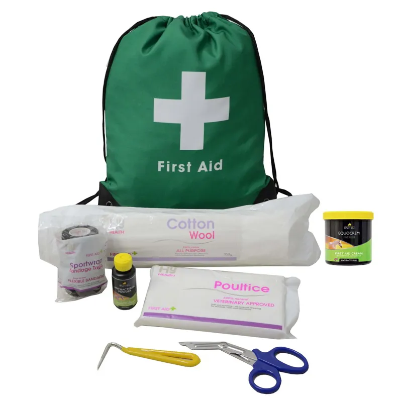 Lincoln Equine First Aid Travel Bag-1