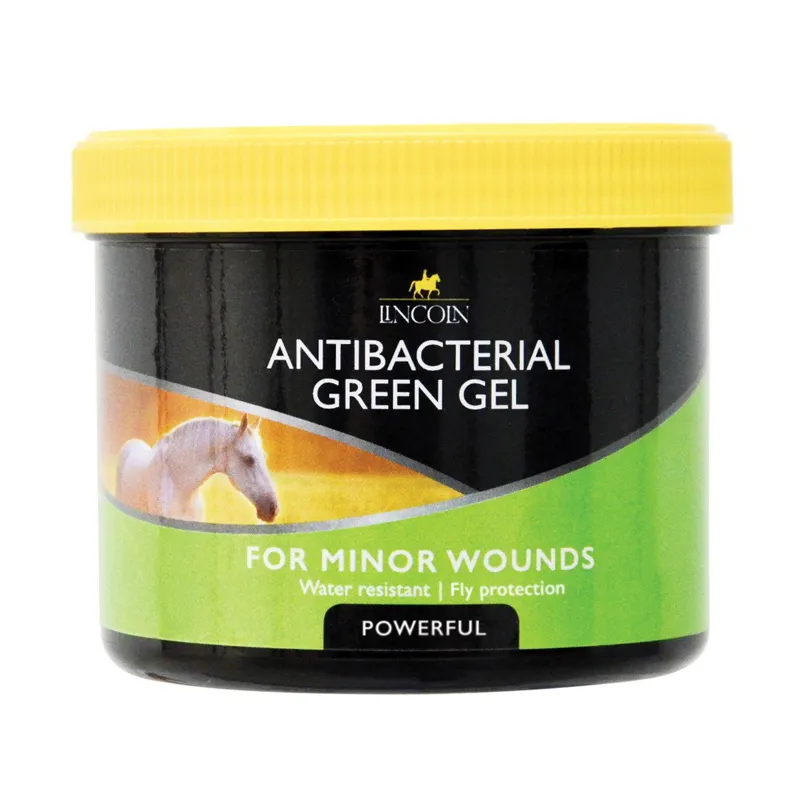 Lincoln Antibacterial Green Gel - 400g-1