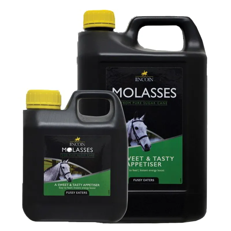 Lincoln Molasses-1