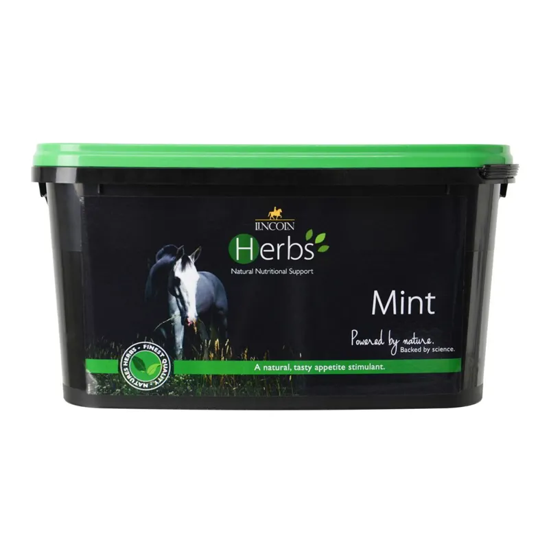 Lincoln Herbs Mint Natural Nutritional Support-1