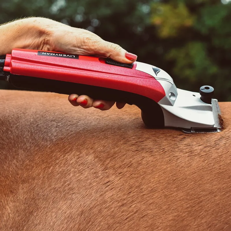 Liveryman Black Beauty Corded Horse Clippers-2