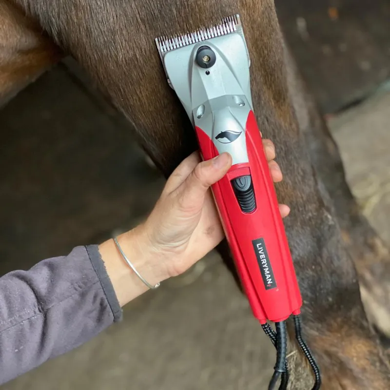Liveryman Black Beauty Corded Horse Clippers-3