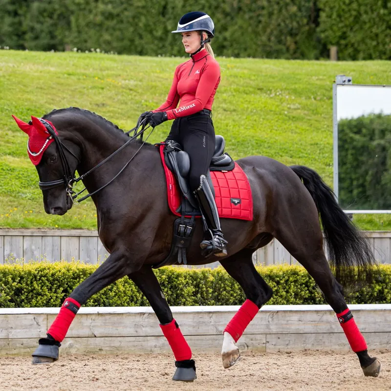 LeMieux Loire Classic Satin Dressage Square - Chili-3
