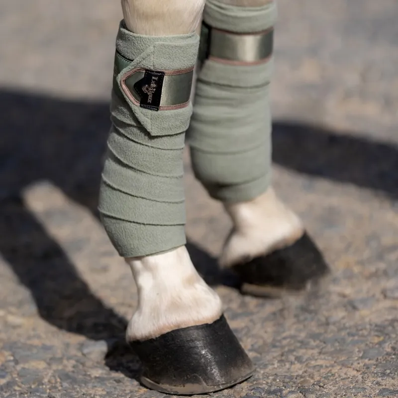 LeMieux Loire Polo Wraps - Fern-2
