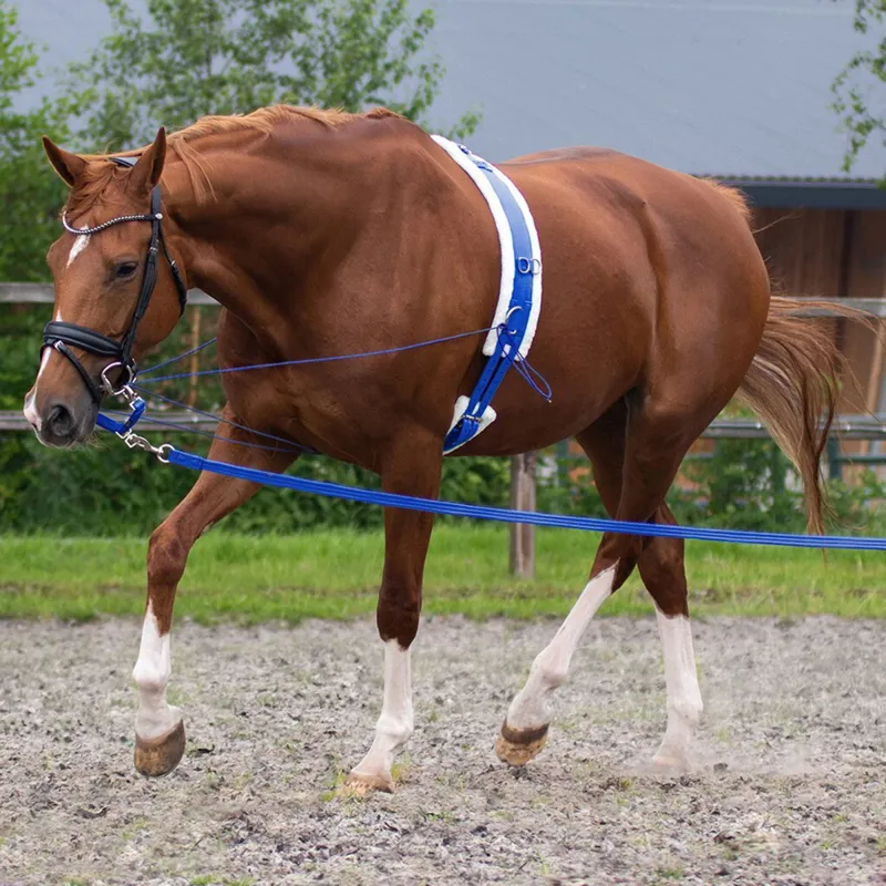 QHP Lunge Line in Bag - Cobalt-1