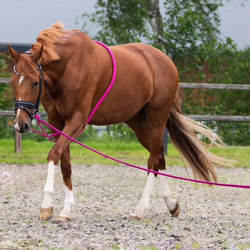 QHP Lunging Line in Bag - Fuchsia-1