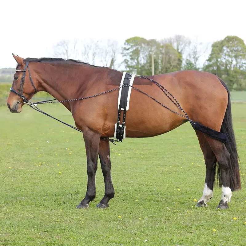 Hy Equestrian Lunging System - Navy/Grey