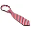 Equetech Luxury Pre-tied Junior Show Tie - Regent Stripe