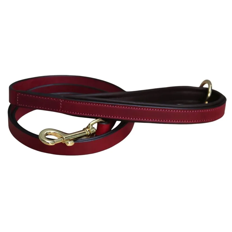 Mackey Padded Dog Leash - Mulberry/Brown
