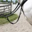 Antares Origin Running Martingale Attachment - Black