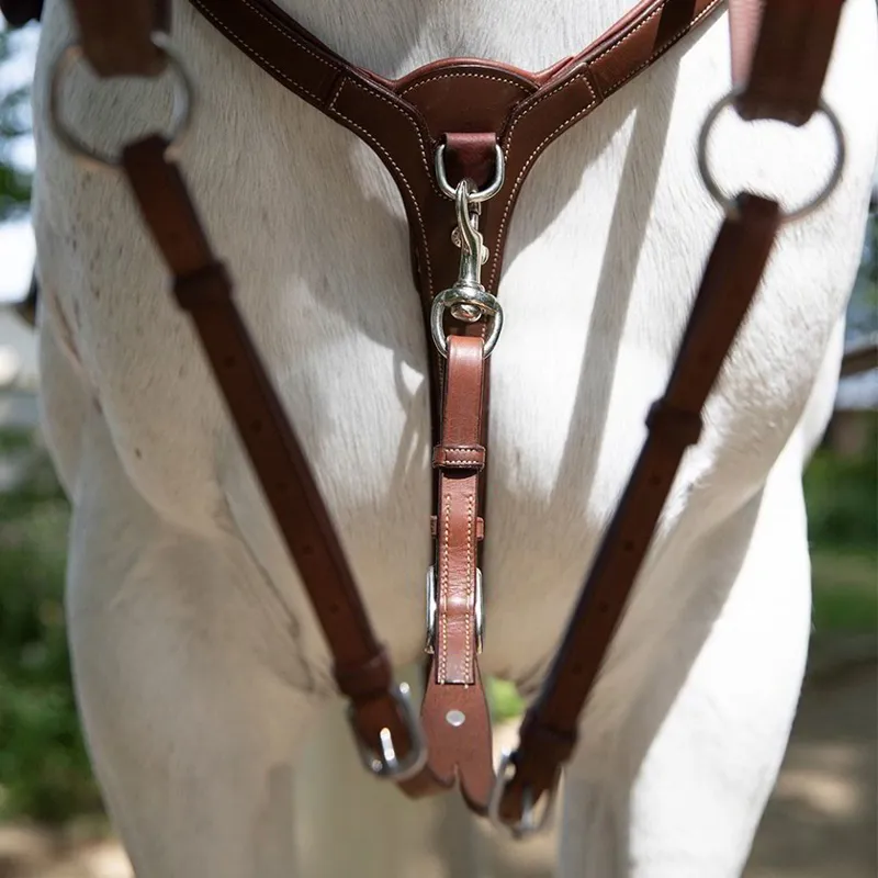 Antares Origin Running Martingale Attachment - Malt-5
