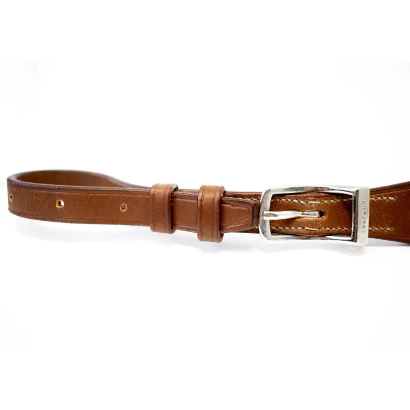 Antares Origin Running Martingale Attachment - Malt-1