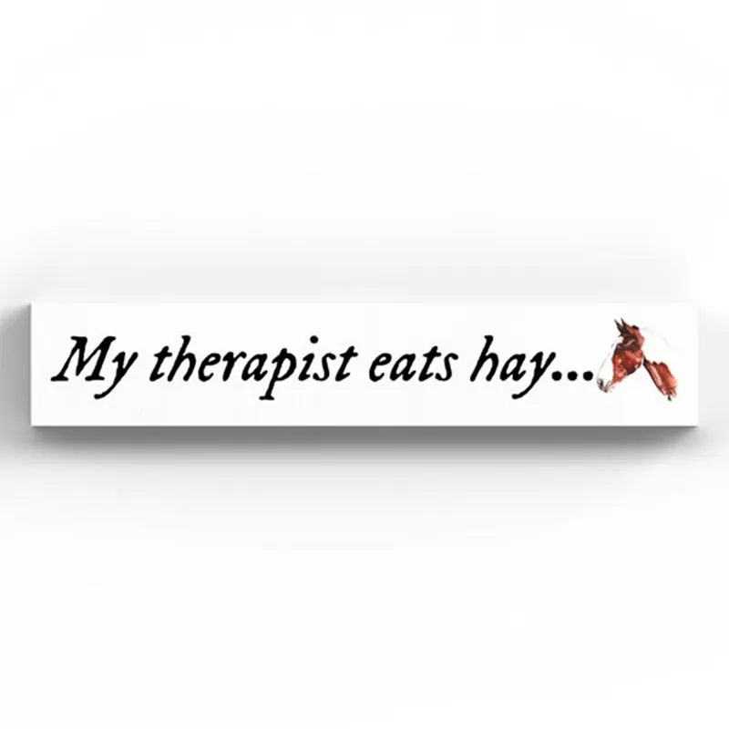 Meg Hawkins Momento Plaque - My Therapist Eats Hay
