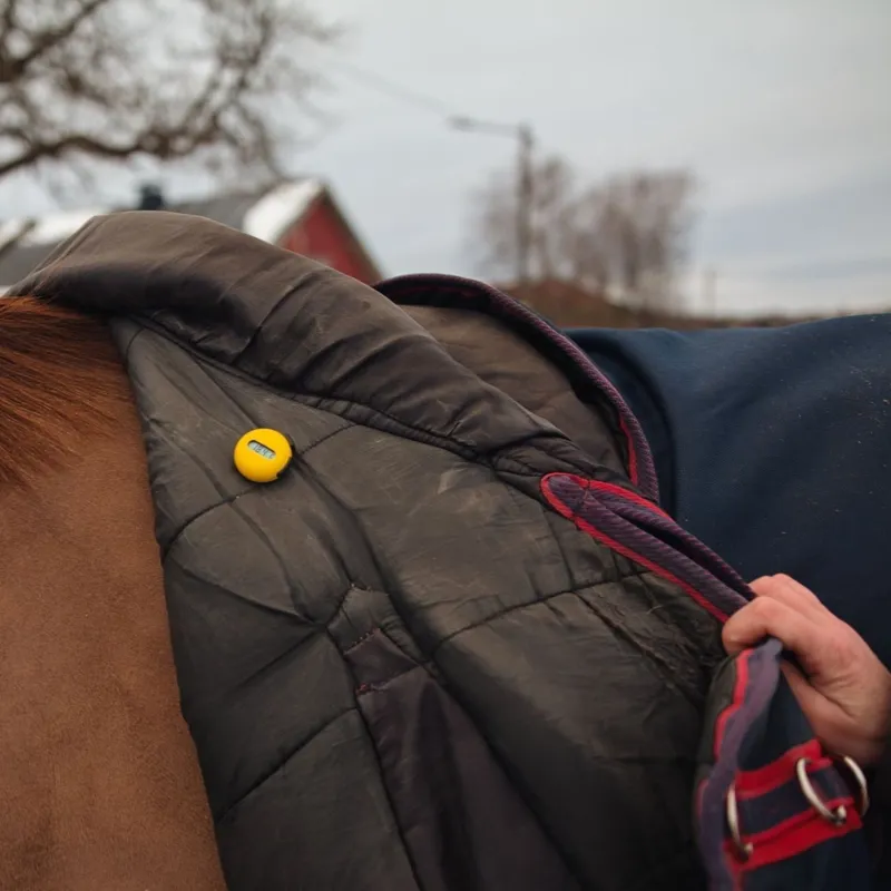 Meolinq MeoTemp Smart Horse Blanket Temperature Sensor-1