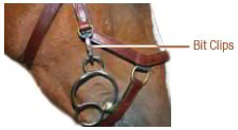 Rambo Micklem Bridle Spare Bit Clips - 4pk-2